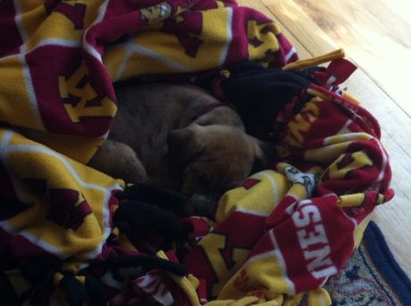 Dude snuggled in the blanket