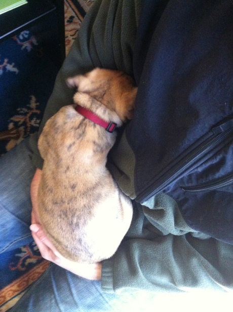 Again, the snuggle.